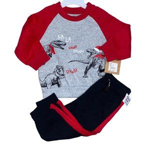 Free Planet Dinosaur Dino Christmas sweatsuit Set NWT 12m 18m 24m Gray black